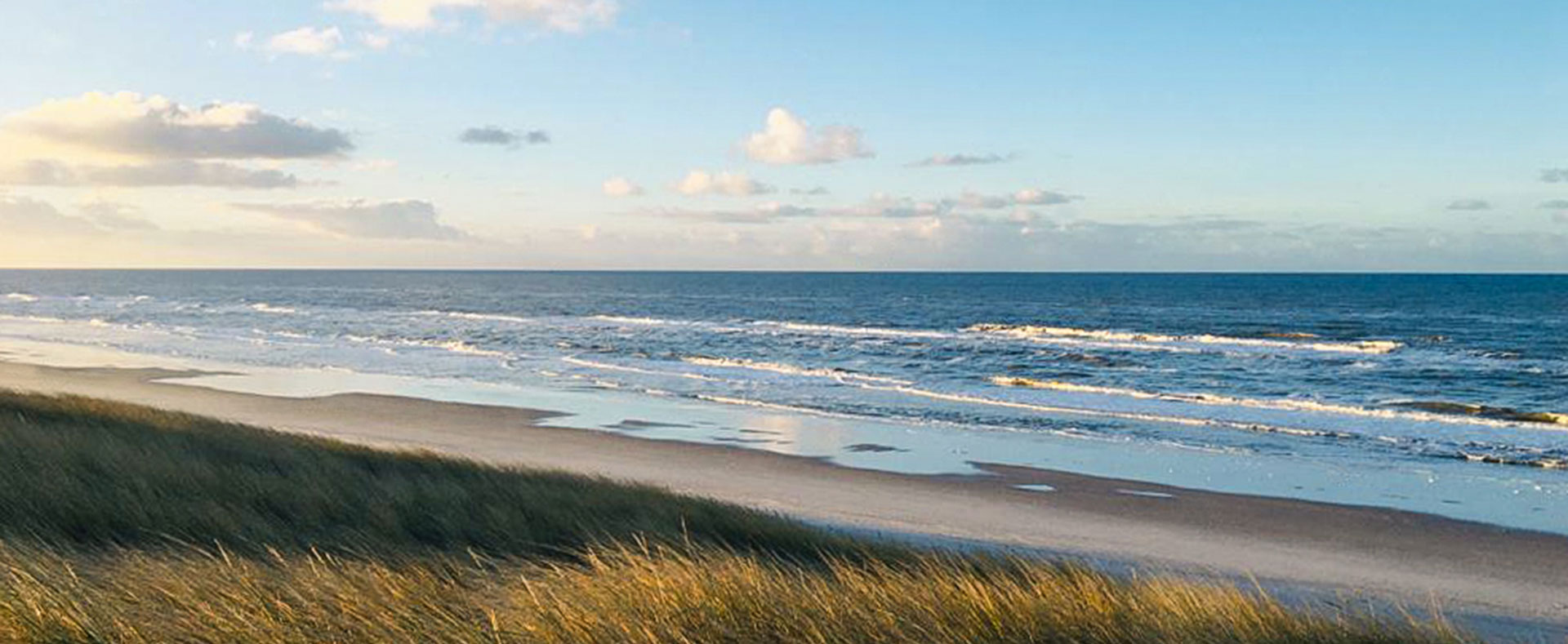 Strand von der Nordsee mit blauem Himmel und Dünengras